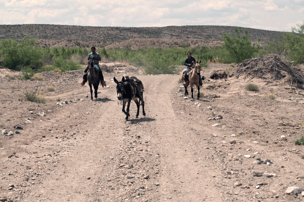 Horses and Burros - we took the truck.